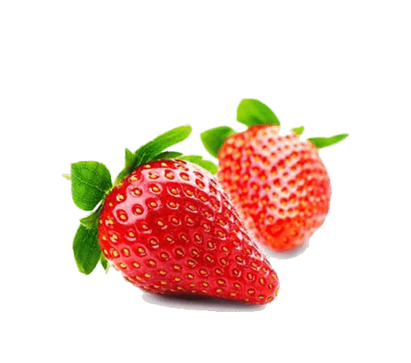 h3-product13 h3-product13